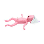 Standard Premature Anne Manikin - 295-00050 - 1 Each - MDL-LDM29500050