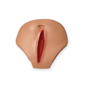 Laerdal Simulated Adult Abdominal Packing Modules for Laerdal Manikins 300-03550T 1.0 Each-MDL-LDM30003550T