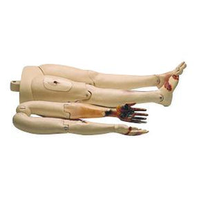 Laerdal Laerdal First Aid / Trauma Module with Soft Pack 312050 1.0 Each-MDL-LDM312050