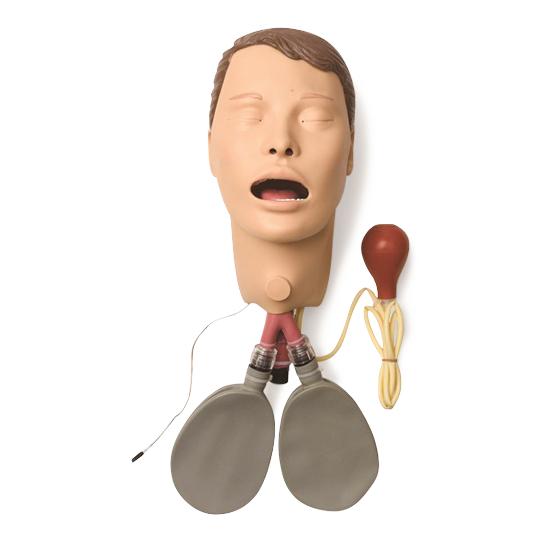 Laerdal Adult Female Training Head Assembly - 325-00850 - 1 Each - MDL-LDM32500850