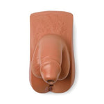 Male Genitalia Manikin - 325-03250T - 1 Each - MDL-LDM32503250T
