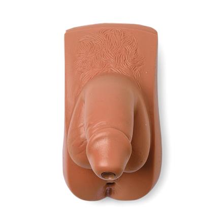 Male Genitalia Manikin - 325-03250T - 1 Each - MDL-LDM32503250T