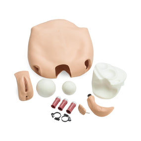 Laerdal Interchangeable Catheterization and Enema Trainers 375-21001 - 1.0 Each