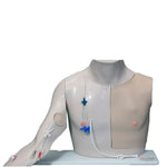 Chester Chest Manikins with Standard Arm - VT-2402 - 1 Each - MDL-LDMVT2402