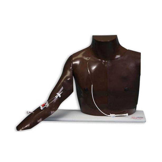 Laerdal Chester Chest with Advanced Arm - VT-2412 - 1 Each - MDL-LDMVT2412