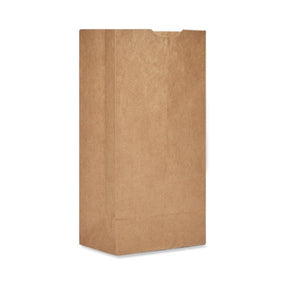 Novolex SafePro Kraft Paper Shopping Bags BAG GK4-500 500.0 Each-MDL-LGSBAGGK4500