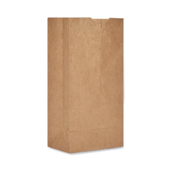 Novolex SafePro Kraft Paper Shopping Bags BAG GK4-500 500.0 Each-MDL-LGSBAGGK4500