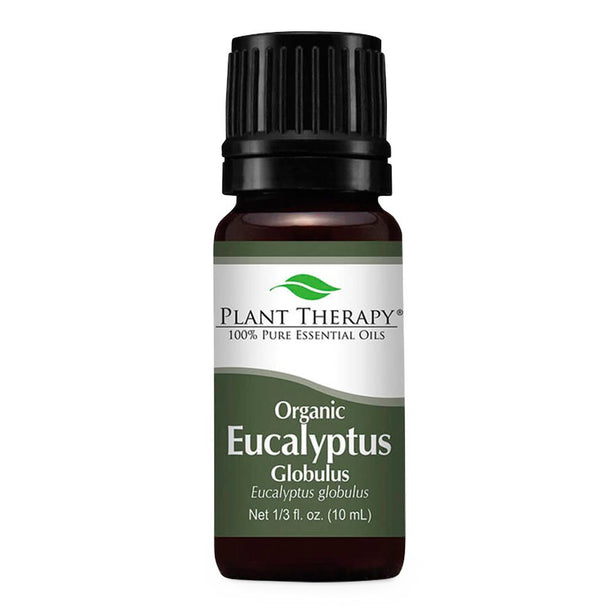 Plant Therapy Essential Oils Plant Therapy Essential Oils EO.PT.EUCALY - 1.0 Each