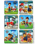 MEDIBADGE, INC PAW Patrol Jungle Patrol 1561P 1 Each - MDL-MBG1561P