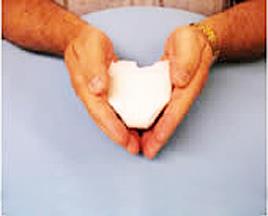 Small Beginnings Inc Cuddle Buns Contoured Preemie Diapers IX21C - 30.0 Each