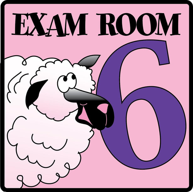 Clinton Industries Number Pediatric Exam Room 6 Sign with Animal Characters - MDREX6