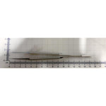Microsurgical Suture Forceps - MDS0907115 - 1 Each - MDL-MDS0907115
