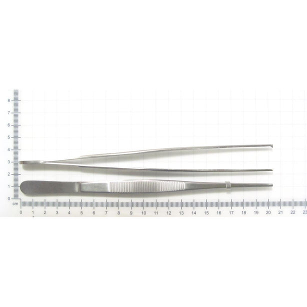 Lane Tissue Forceps - MDS1013020 - 1 Each - MDL-MDS1013020