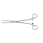 Allis Tissue Forceps - MDS7731608 - 1 Each - MDL-MDS7731608