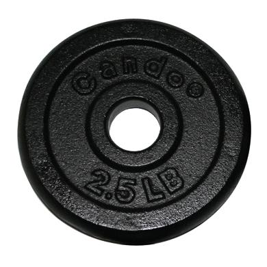 Fabrication Enterprises Inc Iron Weight Plates for Barbells 10-0601 - 1.0 Each - MDL-MDSP100601
