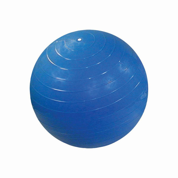 Fabrication Enterprises Inc CanDo Inflatable Exercise Balls - MDSP301805B