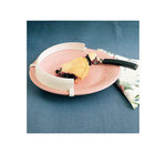 RICHARDSON PRODUCTS Medline Clip-On Food Guard with Slight Curve 847102020365 1 Pack - MDL-MDSR020365PK