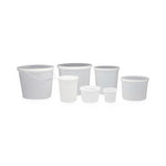 Inteplast Group Ltd Inteplast Group Lab Containers 02752 - 100.0 Each