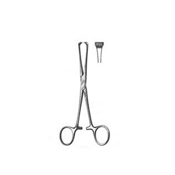 Integra Lifesciences Corp Miltex BOYS-ALLIS Tissue Forceps 16-31 - 1.0 Each - MDL-MIL1631