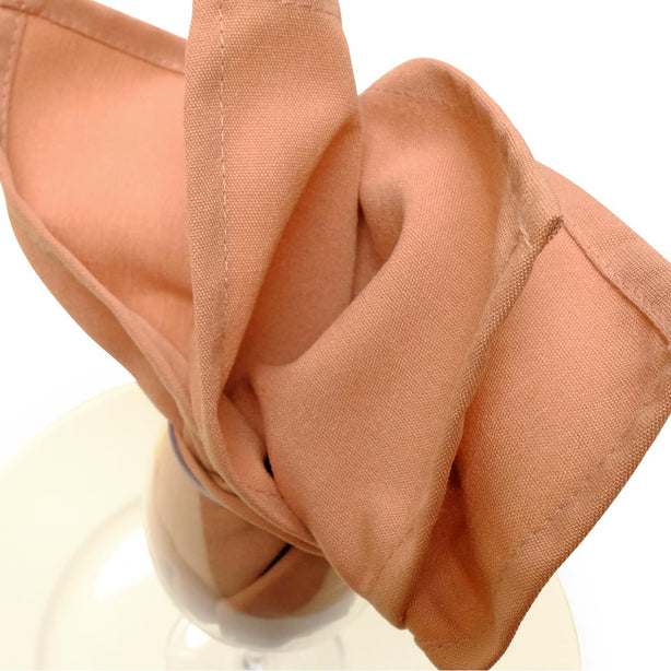 MOUNT VERNON MILLS, INC Elegance Napkins PRE-20SQ-DRS 12 Each - MDL-MITLNEL204DSR