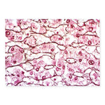 Marketlab Inc. Chandler Reticulum Stain Kit - MKA7239