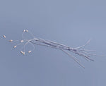 MEDTRONIC USA Esophageal Temperature/Anesthesia Probes 90044 100 Each-MDL-MLK90044