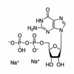 Guanosine 5′-Diphosphate Disodium Salt - 51060-100MG - 1 Each - MDL-MLL51060100MG