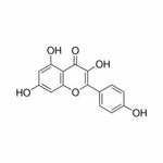 Millipore Kaempferol - 60010-100MG - 1 Each - MDL-MLL60010100MG