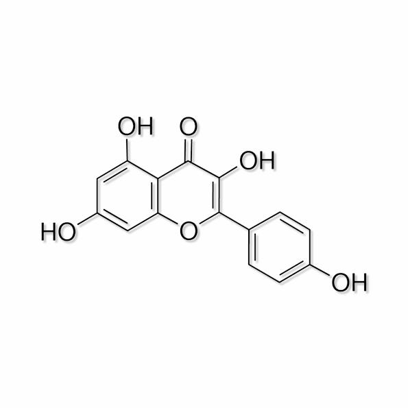 Millipore Kaempferol - 60010-100MG - 1 Each - MDL-MLL60010100MG