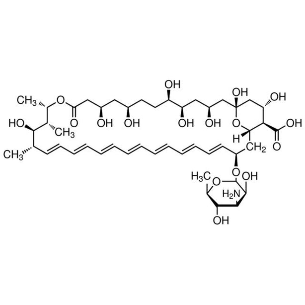 Sigma-Aldrich Amphotericin B Solution, 250 ug / mL in H2O, 20 mL - A2942-20ML - 1 Each