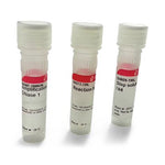 Millipore DNase I Kit - AMPD1-1KT - 1 Each - MDL-MLLAMPD11KT