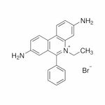 Sigma-Aldrich Ethidium Bromide Solution, Aqueous Solution, 10 mg / mL - E1510-10ML - 1 Each