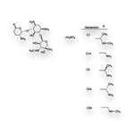 Millipore Sigma Gentamicin Solution - G1272-10ML - 1 Each - MDL-MLLG127210ML