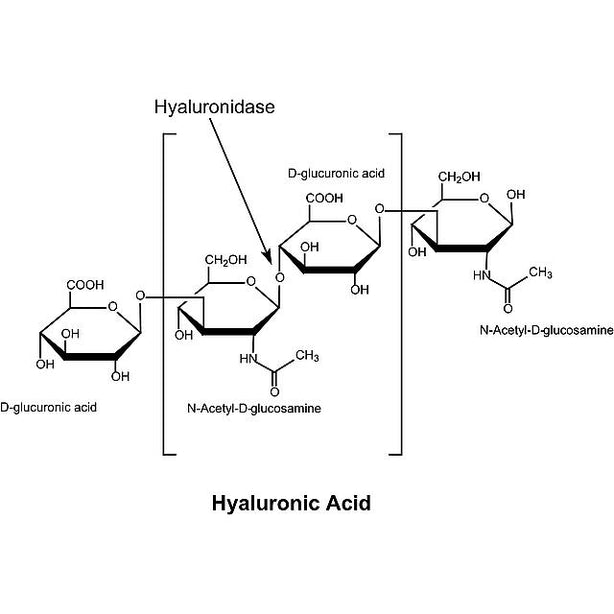 Sigma-Aldrich Co. LLC Hyaluronidase from Bovine Testes H3506-1G - 1.0 Each