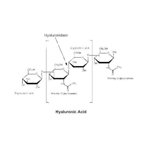 Millipore Corporation Millipore Hyaluronidase from Bovine Testes H3506-100MG - 1.0 Each