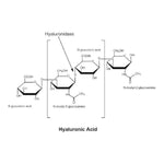 Sigma-Aldrich Co. LLC Hyaluronidase from Bovine Testes H3757-100MG - 1.0 Each