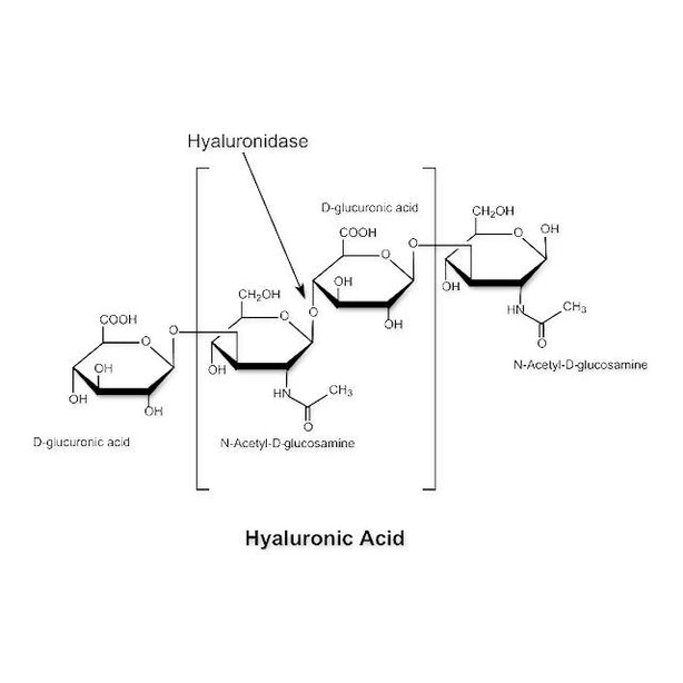 Sigma-Aldrich Co. LLC Hyaluronidase from Bovine Testes H3757-100MG - 1.0 Each