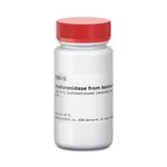 Sigma-Aldrich Co. LLC Hyaluronidase from Bovine Testes H3884-1G - 1.0 Each