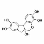 Sigma-Aldrich Harris Modified Hematoxylin Solution - HHS16-500ML - 1 Each