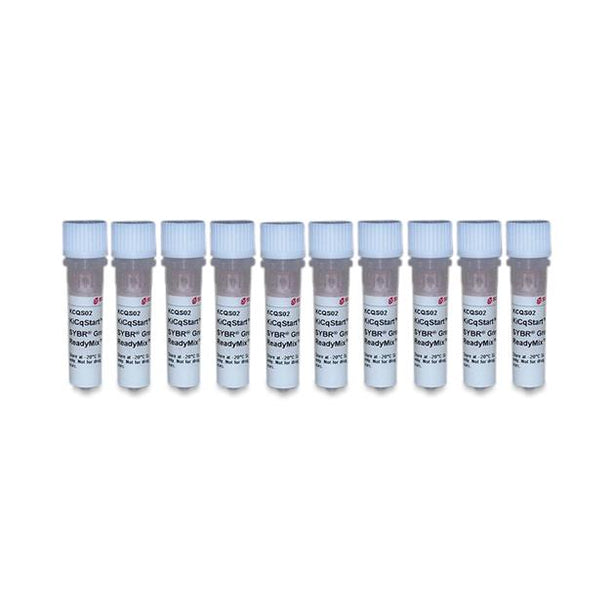 Sigma-Aldrich Qpcr ReadyMix with Rox, Kicqstart, Sybr Green - KCQS02-250RXN - 1 Each