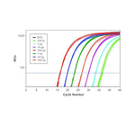 KiCqStart RT-qPCR ReadyMix, One-Step Probe, ROX - KCQS09-500RXN - 1 Each