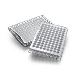 Millipore Multiscreen BV Filter Plates - MSBVN1210 - 1 Each - MDL-MLLMSBVN1210