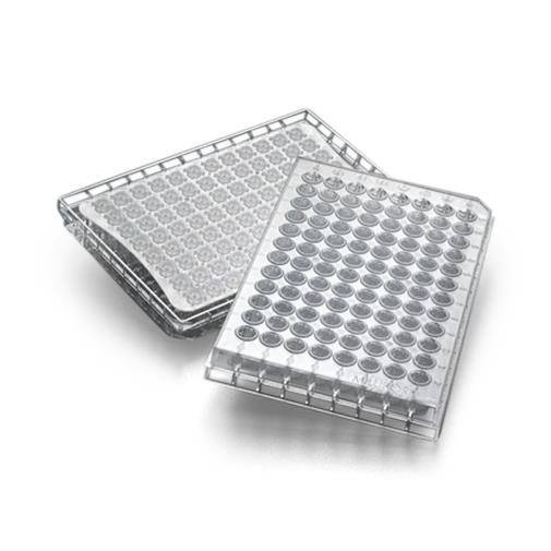 Millipore Multiscreen BV Filter Plates - MSBVN1210 - 1 Each - MDL-MLLMSBVN1210