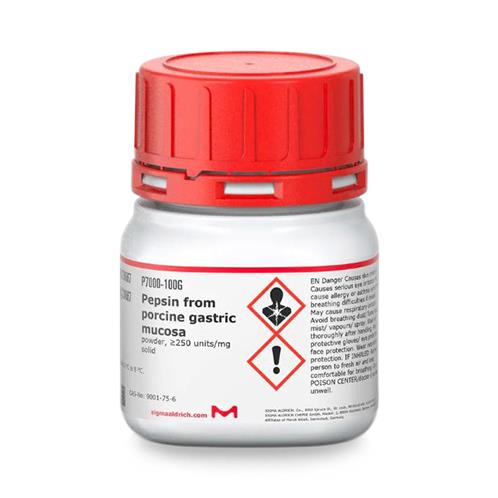 Pepsin from Porcine Gastric Mucosa - P7000-100G - 1 Each - MDL-MLLP7000100G
