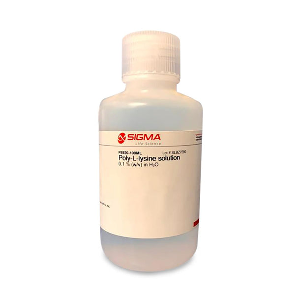 Millipore Poly-L-Lysine Solution, 100 mL - P8920-100ML - 1 Each