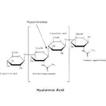 Sigma-Aldrich Co. LLC Hyaluronidase from Bovine Testes H3506-100MG - 1.0 Each