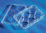 Corning Life Sciences 6-Well Clear TC-Treated Plate 3516 - 50.0 Each