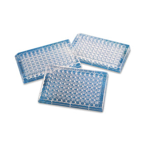 Corning Life Sciences 96-Well Clear Flat-Bottom Polypropylene Not-Treated Microplates 3795 - 100.0 Each
