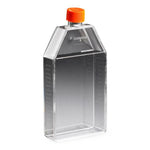 Corning Life Sciences Canted Neck Cell Culture Flask With Vent Cap - MLV430825
