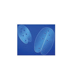 Summit Medical Nasal Septal Button, Size M, 5 cm Dia., 4 mm Thick - SP-78105 - 1 Each